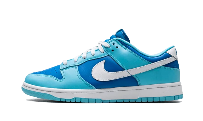 Nike Dunk Low Argon